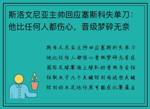 斯洛文尼亚主帅回应塞斯科失单刀：他比任何人都伤心，晋级梦碎无奈