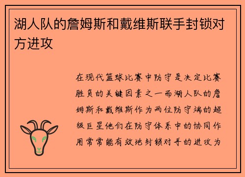 湖人队的詹姆斯和戴维斯联手封锁对方进攻